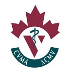 cvma_profile