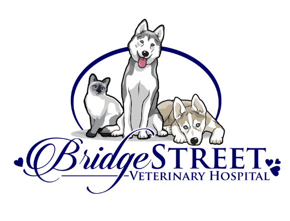 Bridge Street Veterinary Hospital